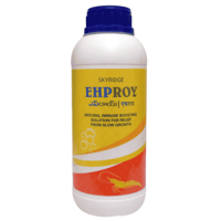 EHPROY